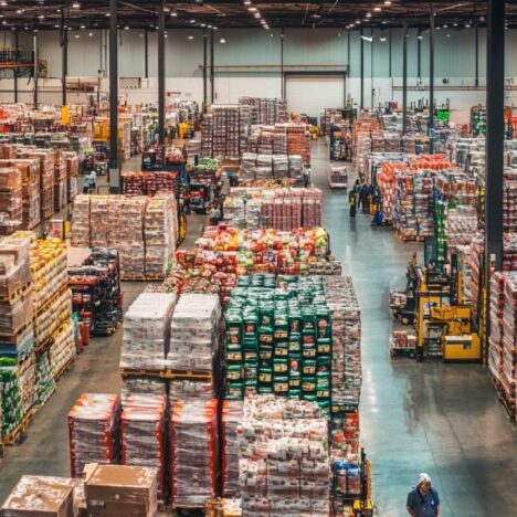 Explorez les saveurs de chips pour un apéritif réussi